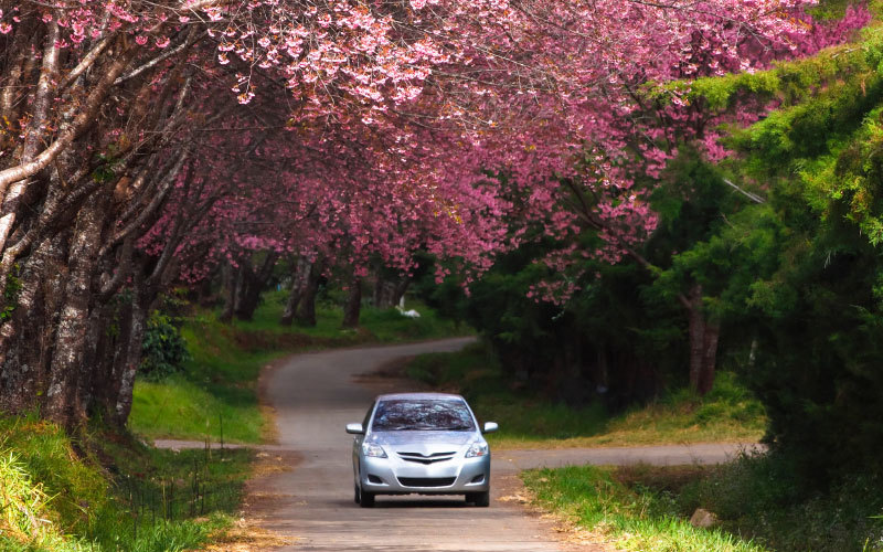 fruehlings-check-auto-kontrolle-2019-autoplus-suedtirol-alto-adige-controllo-primavera-auto