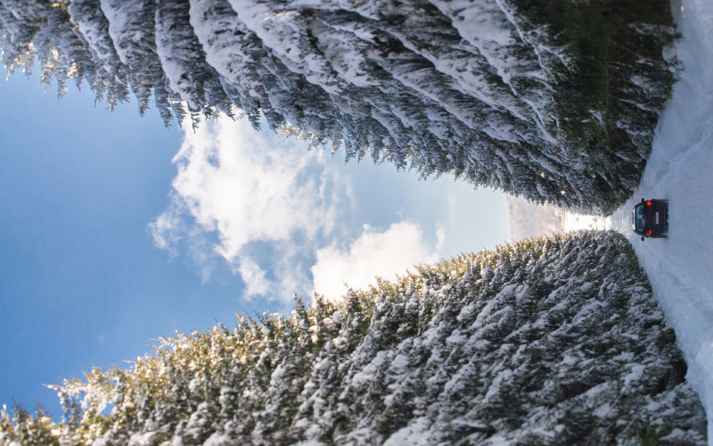 auto-winter-check-sicherheit-schnee-kontrolle-winterreifen-bozen-eppan-suedtirol-corona-abholservice